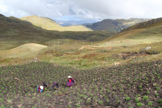 © Goldman Environmental Prize