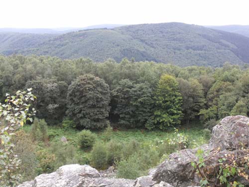Ardennes françaises mystérieuses (46/61) : RENWEZ : La forêt magnifique et la chèvre d’or
