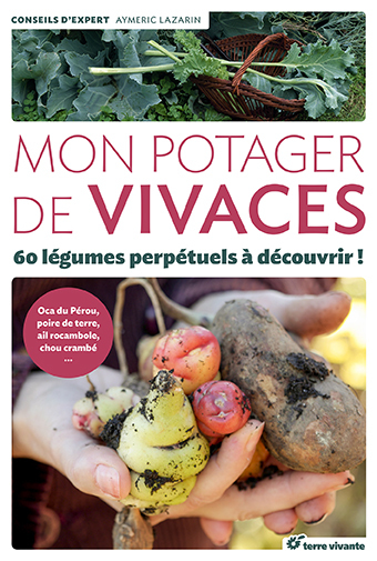 Mon potager de vivaces