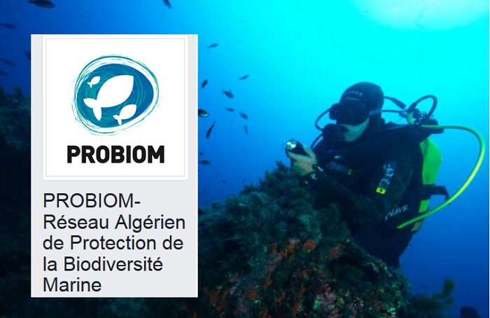 Désobéissance écocitoyenne en Algérie pour la protection de la biodiversité marine !