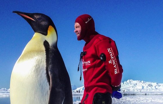 L’expédition ANTARTICA avec Laurent BALLESTA : de la plongée sous glace extrême !