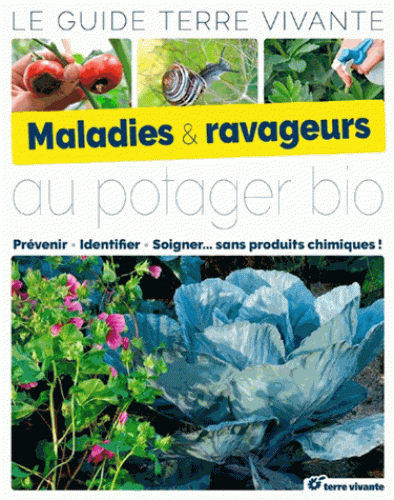 Maladies et ravageurs au potager bio