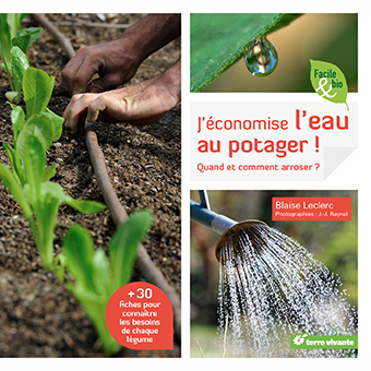 J'économise l'eau au potager