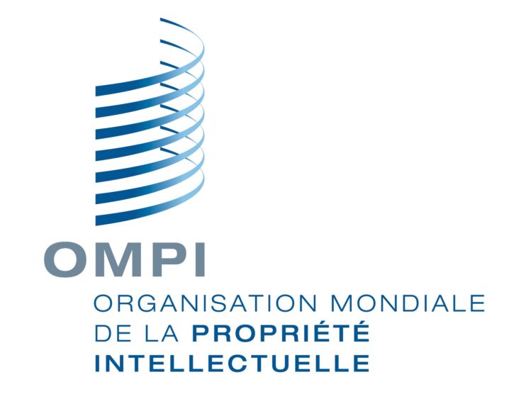 OMPI, les droits des peuples autochtones en discussion à l’ONU