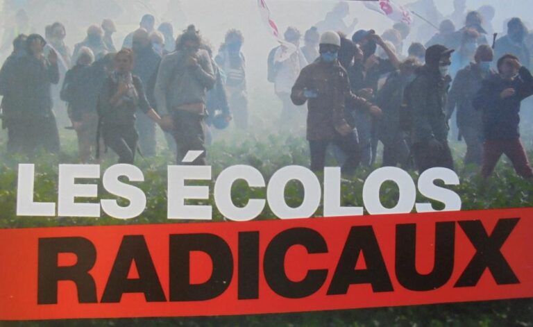 COP27-Débat : Les écolos radicaux : violence et non-violence
