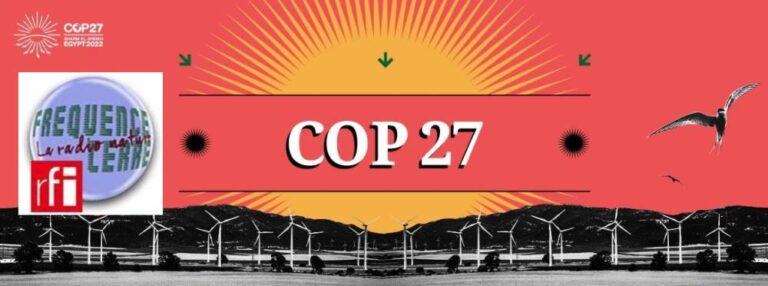 COP 27-Analyse : une revue de presse décapante