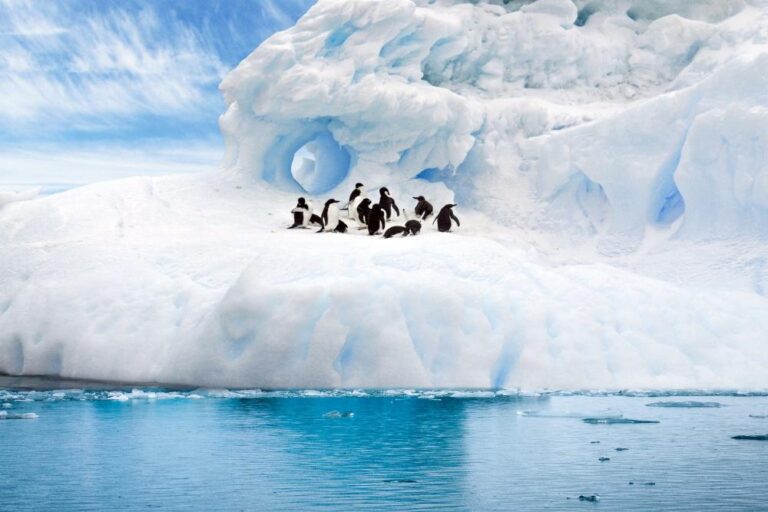 COP 27-Reportage : Pleurent les glaciers…
