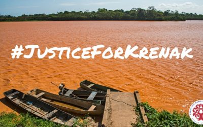 Brésil : Justice pour le peuple Krenak